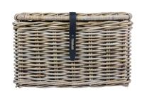 Basil Mand dax l - thumbnail