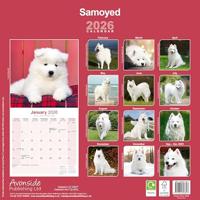 Samojeed Kalender 2026 - thumbnail