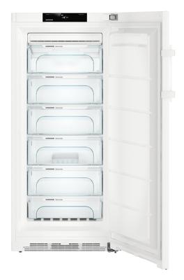 Liebherr GN4135-21 diepvriezer Vrijstaand Staand 271 l D Wit