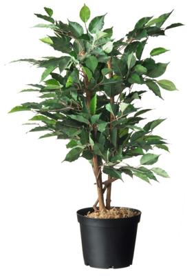 Plantcontainer 1l 6 stuks - Zwart