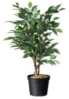 Plantcontainer 1l 6 stuks - Zwart - thumbnail