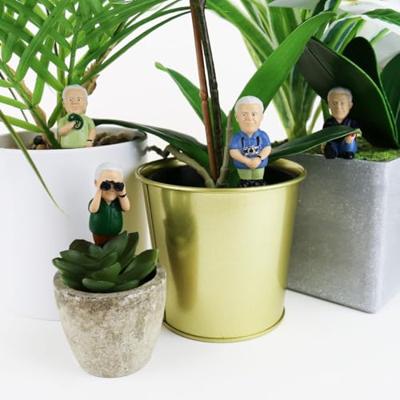 Gift Republic Mini Plant Pot Attenborough Explorers
Gift Republic Mini Plant Pot Attenborough Explorers