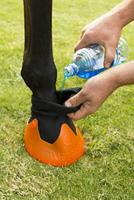 Hoefschoen zool los 140 mm M rood - thumbnail