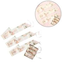 Ginger Ray sjerp team bride rosé goudkleurig set van 6 | 10 stuks - thumbnail