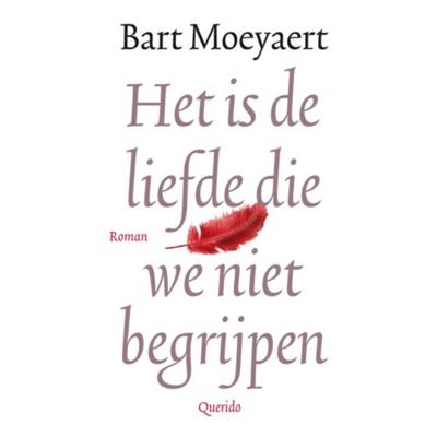 Het is de liefde die we niet begrijpen (Hardback)