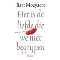 Het is de liefde die we niet begrijpen (Hardback) - thumbnail