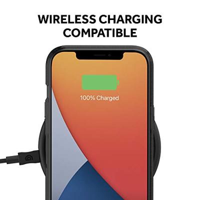 Griffin Survivor Clear case iPhone 12 Pro Max Zwart