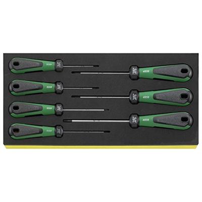 Stahlwille inlay torxschroevendraaiers tcs