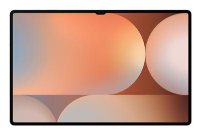 Samsung Galaxy Tab S10 Ultra 5G LTE-TDD & LTE-FDD 256 GB 37,1 cm (14.6") 12 GB Wi-Fi 7 (802.11be) Platina, Zilver