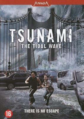 Tsunami - The Tidal Wave (DVD)