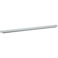 Schneider Electric NSYADC16 NSYADC16 (b x h) 600 mm x 50 mm Staal Grijs-wit (RAL 7035) 1 stuk(s) - thumbnail