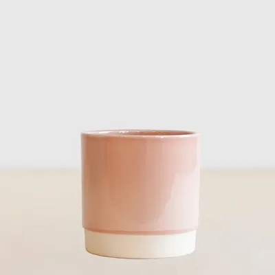 Londen Roze - P12 Londen Roze - P12