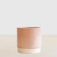 Londen Roze - P12 - thumbnail