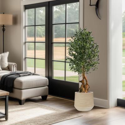 Kunst Olijfbonsai deluxe 150cm