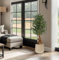 Kunst Olijfbonsai deluxe 150cm - thumbnail