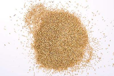 WOLF-Garten 3826636 LR-S 50 Turbo Gazonherstel schaduw voor 50 m² 1 stuk(s)