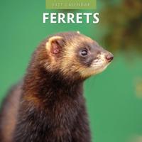 Fretten Kalender 2027 - thumbnail