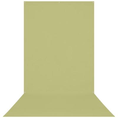 Westcott X-Drop rimpelbestendig 5 'x 12' (1,52 x 3,66 m) Sweep achtergrond voor headshots, full-body fotoshoots en productfoto's - draagbaar en reisvriendelijk (licht mosgroen)