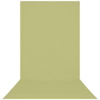 Westcott X-Drop rimpelbestendig 5 'x 12' (1,52 x 3,66 m) Sweep achtergrond voor headshots, full-body fotoshoots en productfoto's - draagbaar en reisvriendelijk (licht mosgroen) - thumbnail