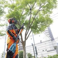 Makita DUA300Z Accu Stokkettingzaag 30cm 2x18V Basic Body - thumbnail