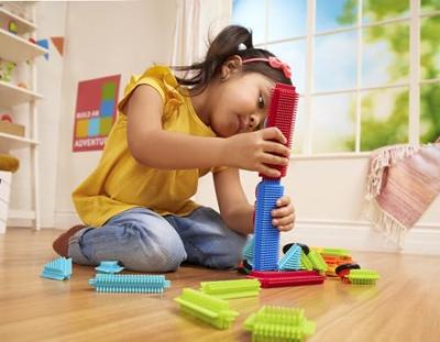 Bristle Blocks Box met 36 Stuks