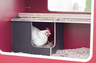 Abi Mobilecoop houten kippenhok