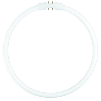 Osram Lumilux T5 Circulair FC 40W - 865  | 30cm