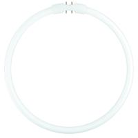 Osram Lumilux T5 Circulair FC 40W - 865  | 30cm - thumbnail