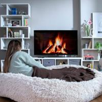 Hondenbed voor mensen | Human Dog Bed XXL InnovaGoods Beige - thumbnail