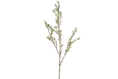 Bloem van wax Tamara wit 78cm