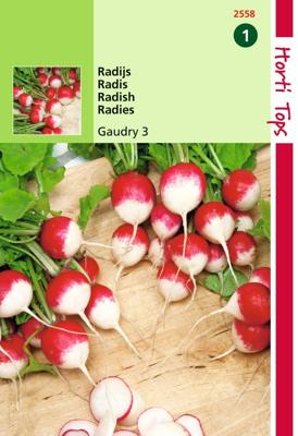 Zaden Radijs Gaudry 3 Hortitops - Hortitops