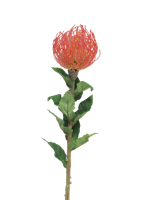 Nutans Segal red 74cm Nova Nature - Nova nature - thumbnail