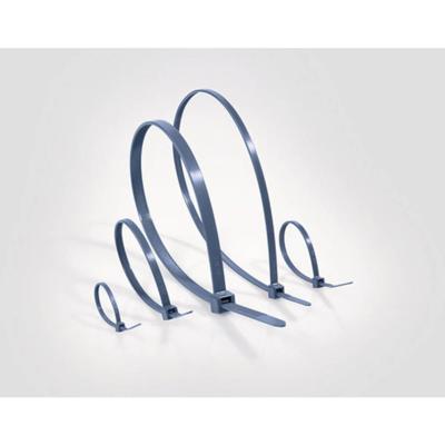HellermannTyton 111-01667 MCTPP50L-PPMP-BU Kabelbinder Blauw 100 stuk(s)