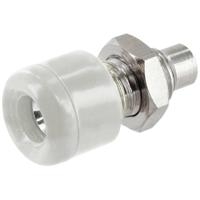 econ connect HOB25WS Inbouwbus Bus, inbouw Wit 1 stuk(s) Bulk - thumbnail