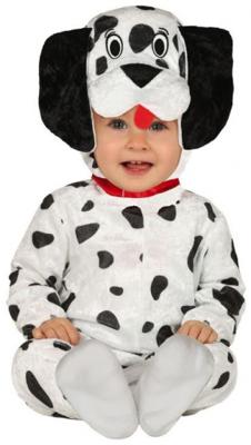 Dalmatier Pakje Baby/Dreumes