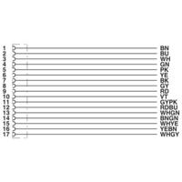 Phoenix Contact 1430789 Sensor/actuator aansluitkabel Aantal polen (sensoren): 17 3.00 m 1 stuk(s) - thumbnail