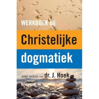 Werkboek bij de Christelijke dogmatiek (Paperback)