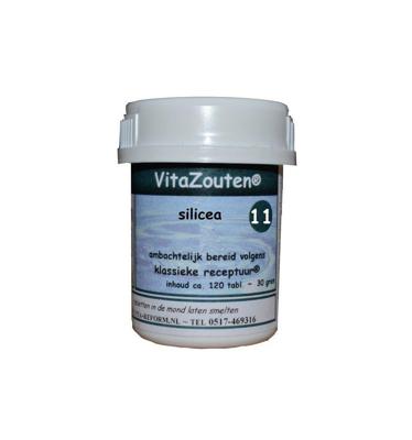 Vitazouten Nr.11 Silicea 120st
