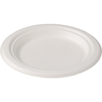 Depa Bord | rond | 1-vaks | bagasse (suikerrietpulp) | Ø15cm | wit | 160 stuks - thumbnail