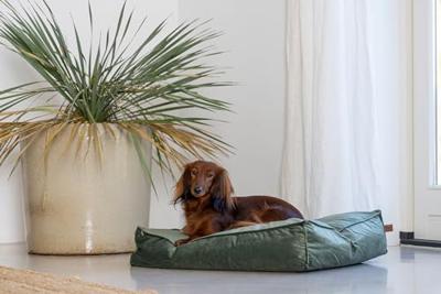 Designed by Lotte Ligkussen hond Nalino - Groen 70 x 55 x 15 cm - thumbnail