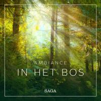 Ambiance - In het Bos - thumbnail