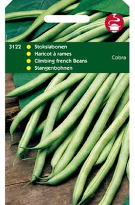 Zaden Stokslabonen Cobra 100g Tuinplus - Tuinplus
