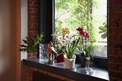 LECHUZA Plantenbak ORCHIDEA ALL-IN-ONE Mat wit