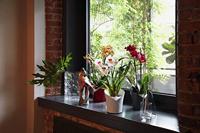 LECHUZA Plantenbak ORCHIDEA ALL-IN-ONE Mat wit - thumbnail