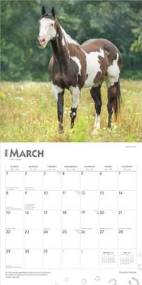 Quarter Horse Kalender 2026