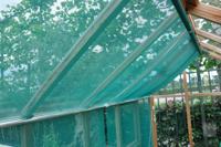 Royal Well Roll-Up New Classic 106 - thumbnail