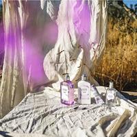 L&apos;Occitane White Lavender Shower Gel 250 ml Douche & bad - thumbnail