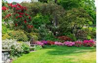 Tuindoek bloementuin 210x140cm Customize-it - Customize it - thumbnail