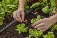 Gardena Micro Drip Systeem T-stuk 1/2” - 3/16" - thumbnail