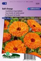 Goudsbloem hoge dubbele bloemzaden - Ball’s Orange - thumbnail